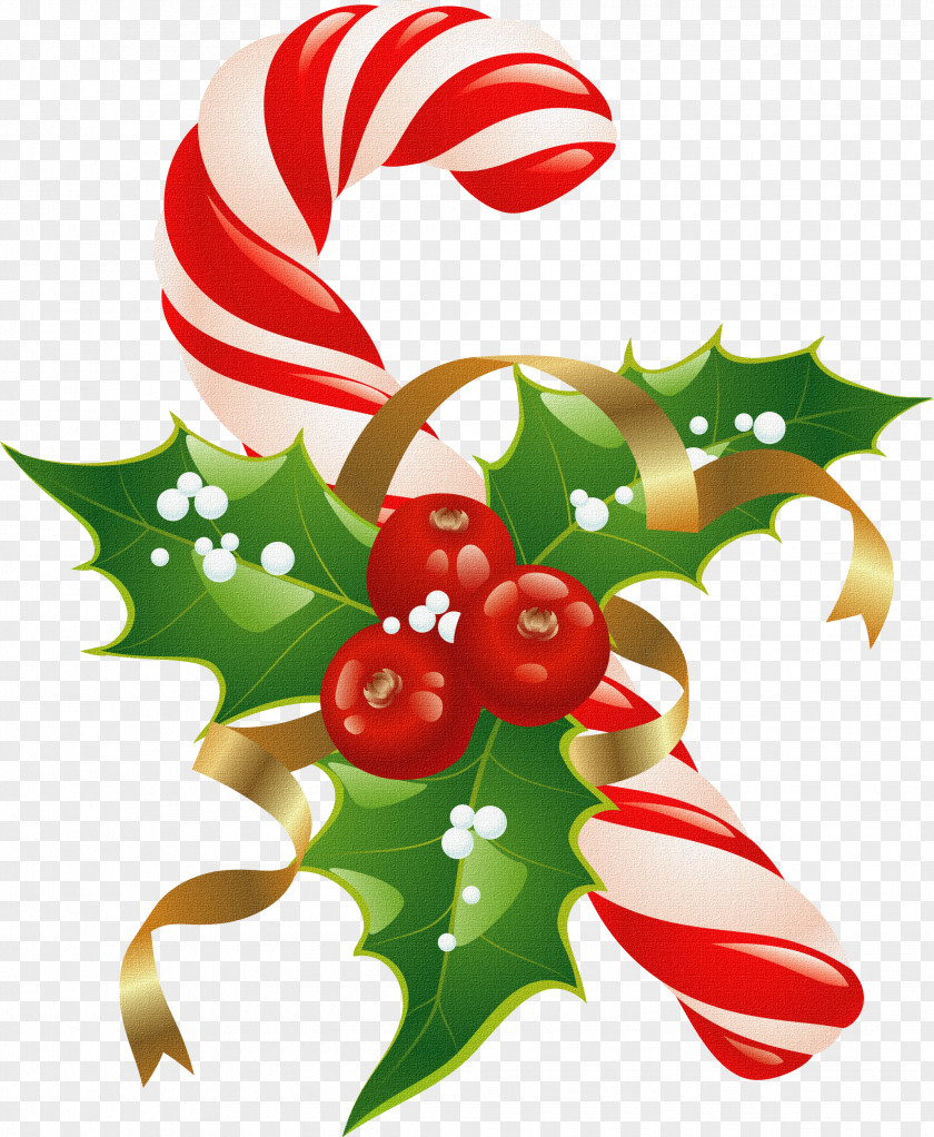 Bonbones Christmas Decoration Bag Clip Art PNG