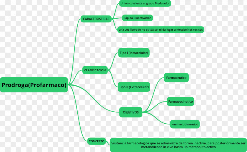 Flore Pharmacology Cuadro Sinóptico Concept Pharmacon Pharmacokinetics PNG