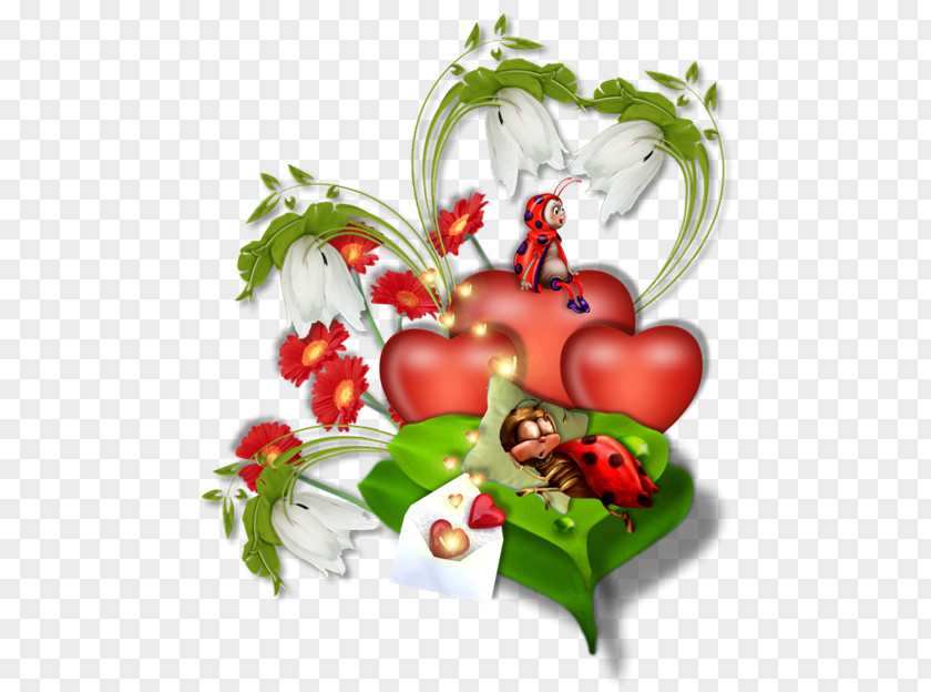Insect Ladybird Beetle Blog Heart Pine PNG