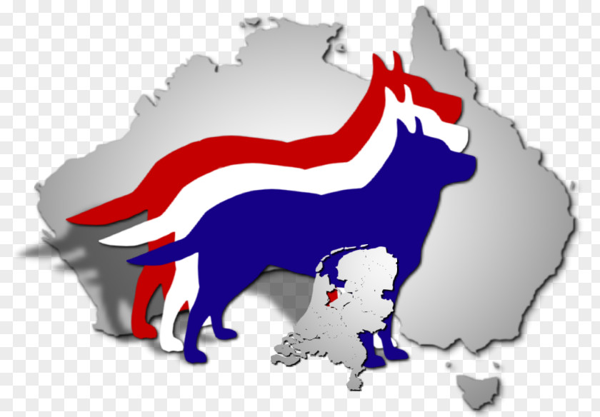 Australian Cattle Dog Canidae Dutch Kennel Club Cynology PNG