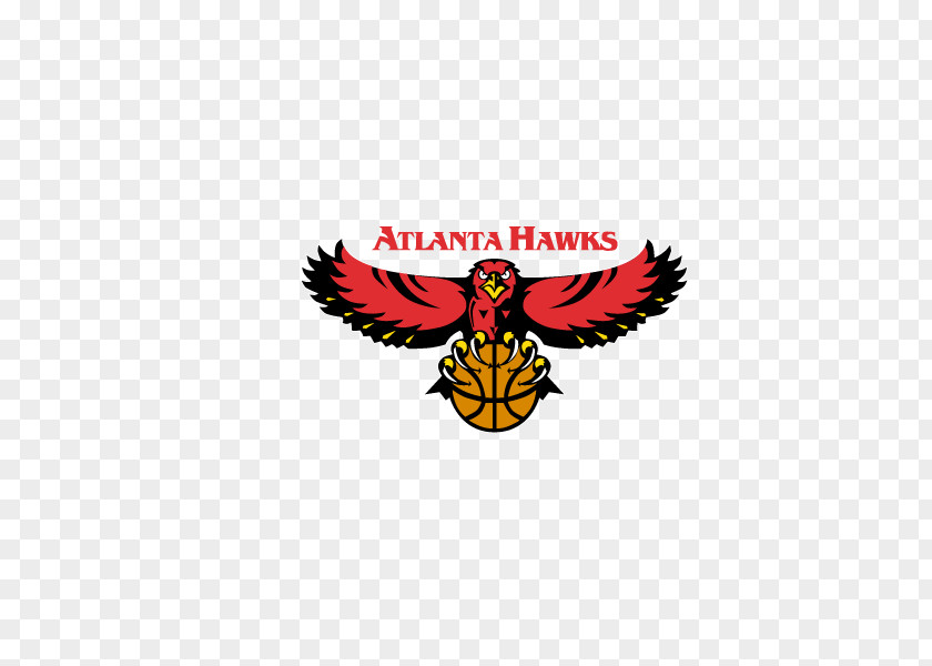 Basketball Team Icon Atlanta Hawks NBA Chicago Bulls Houston Rockets PNG