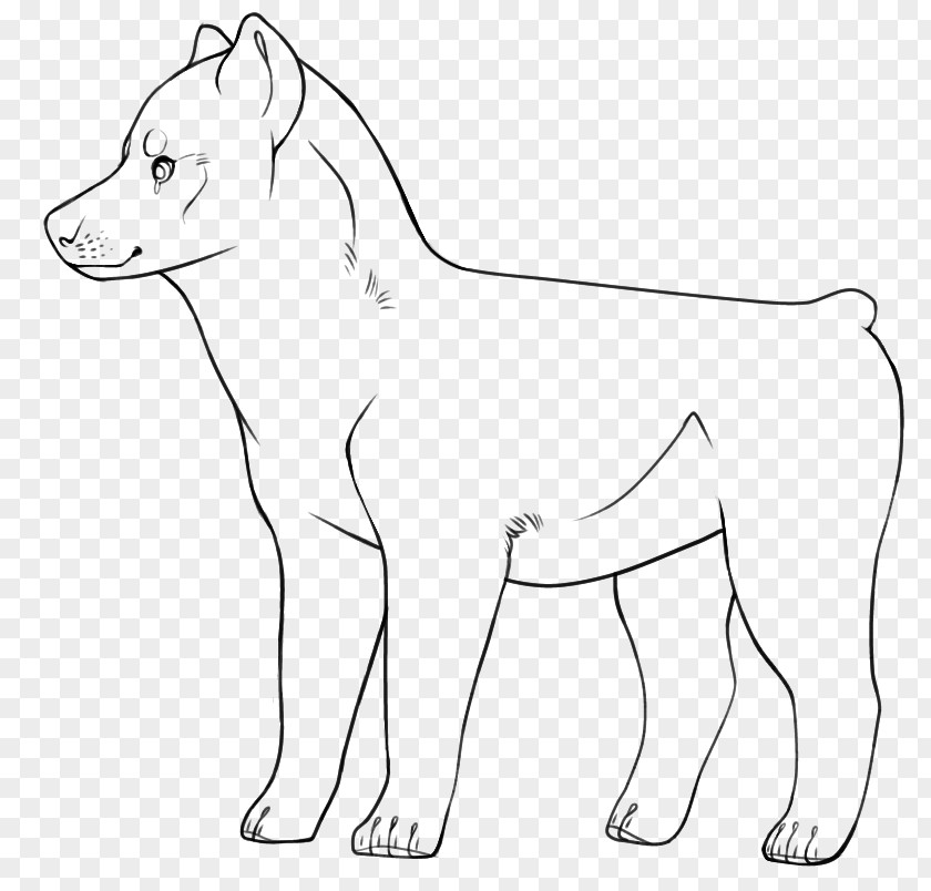 Dog Breed Whiskers Line Art Pack Animal PNG