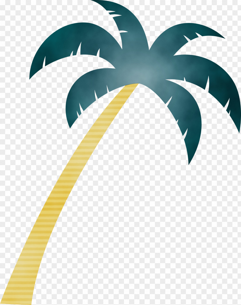 Palm Trees PNG