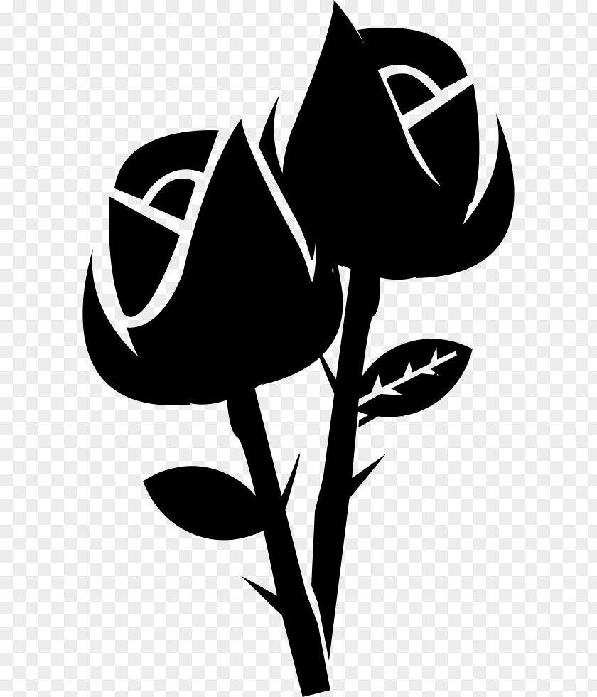 Rose Black Floribunda Hybrid Tea PNG