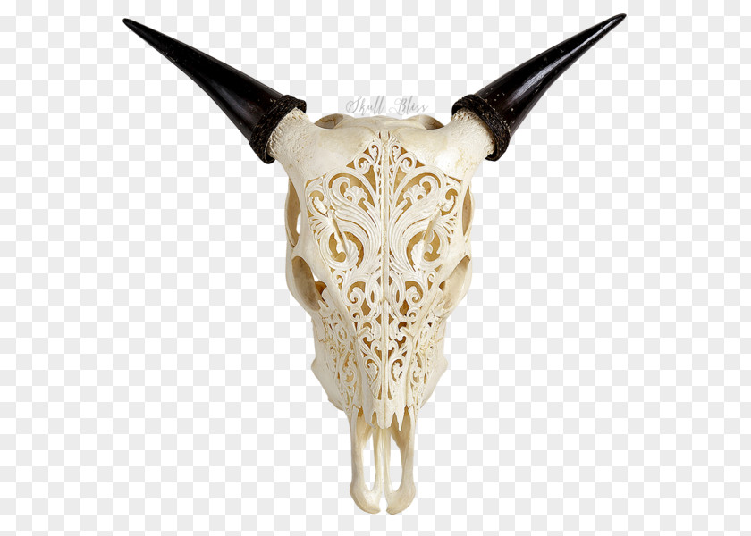 Skull Cattle Horn Barbed Wire Carving PNG