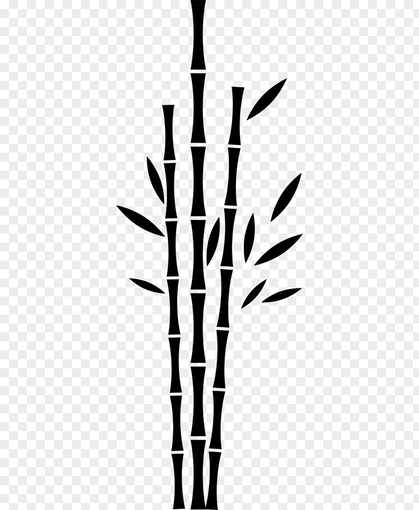 Tree Sticker Vinyl Group Bamboo Wall PNG