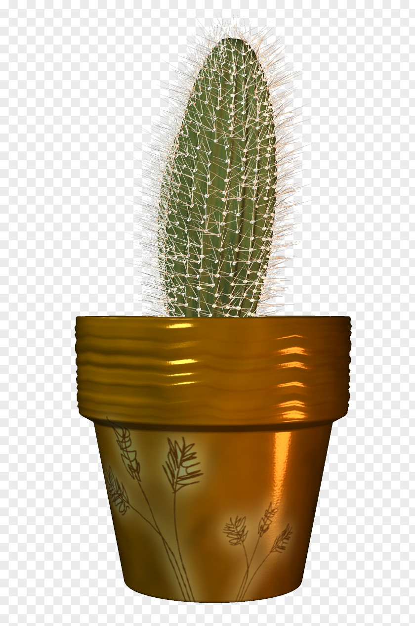 Cactus Cactaceae Flowerpot PNG