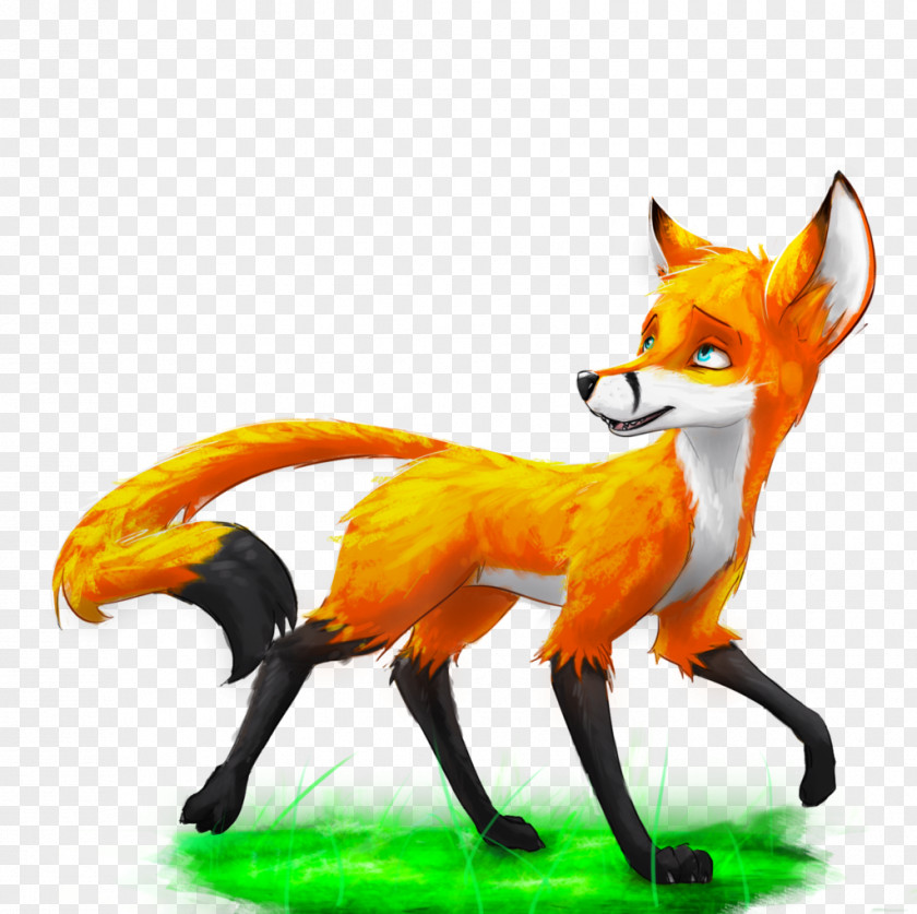 FOX DRAWING Red Fox Fauna Wildlife Tail News PNG