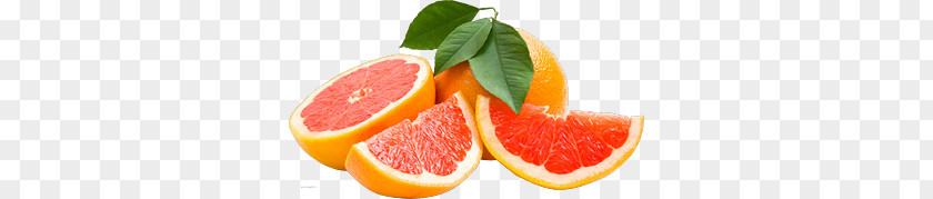 Grapefruit PNG clipart PNG