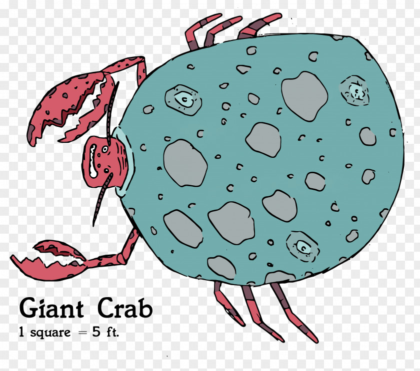 Hairy Crabs Invertebrate Plant Clip Art PNG
