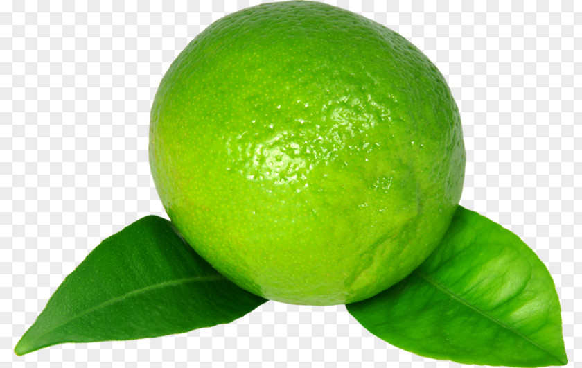 Lemon Key Lime Limeade PNG
