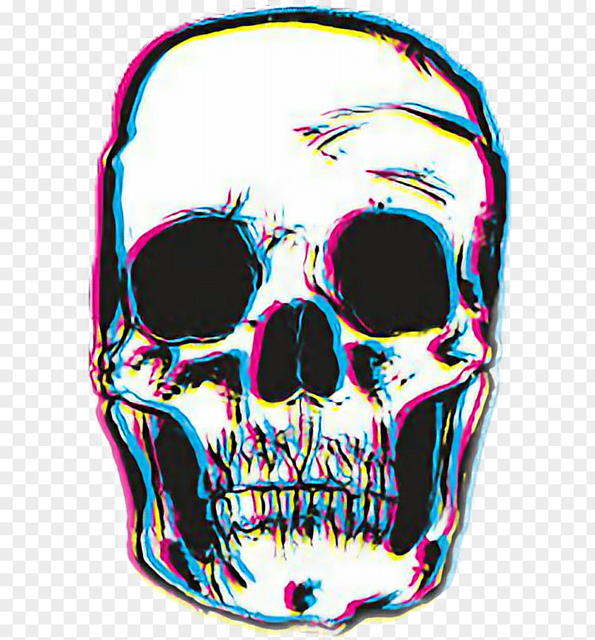 Skull Calavera T-shirt Clothing Clip Art PNG