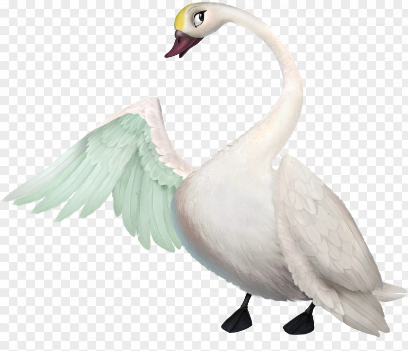 Swan Princess Odette Cygnini Duck Film Anatidae PNG
