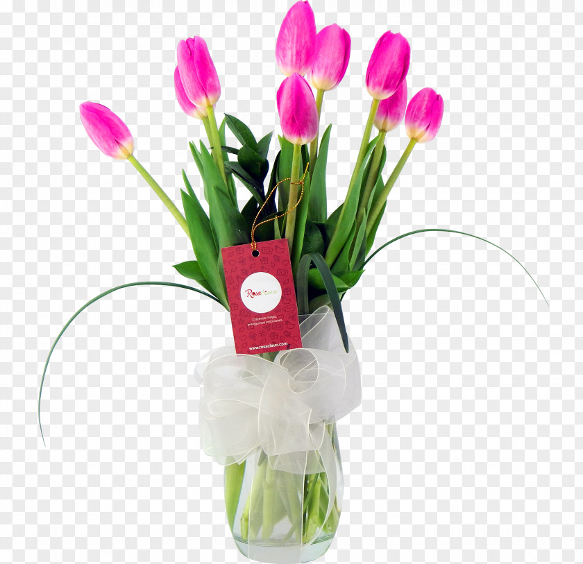 Tulip Floral Design Cut Flowers Floristry PNG