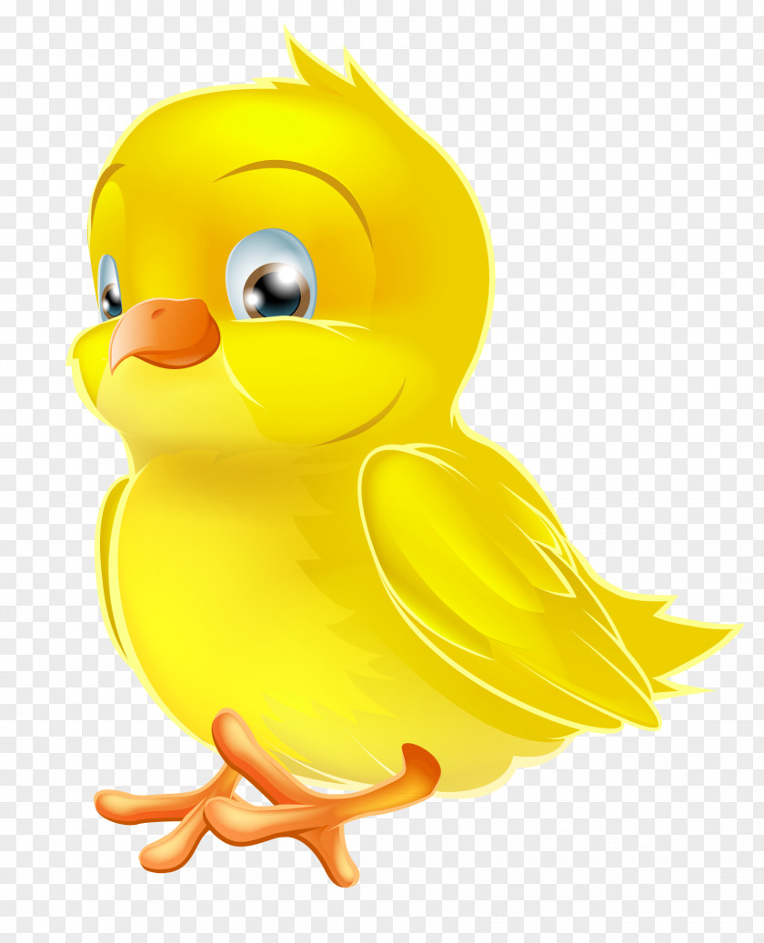 Painted Yellow Easter Chick Clipart Picture Chicken Clip Art PNG