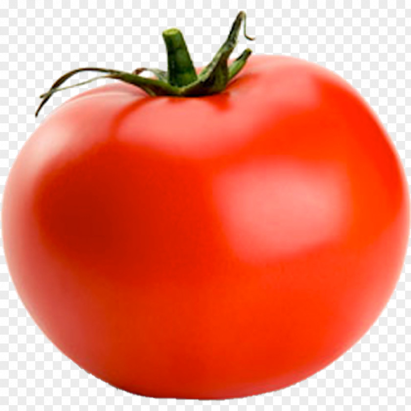 Tomato Cherry Cheeseburger Vegetable Clip Art PNG