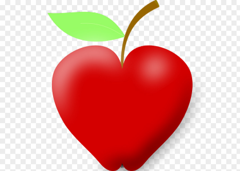Apple Clip Art Vector Graphics Heart Illustration PNG