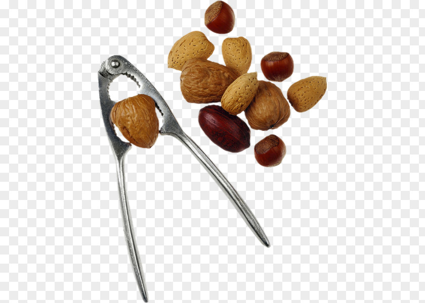 Fruit Sec Nuts Auglis Walnut PNG