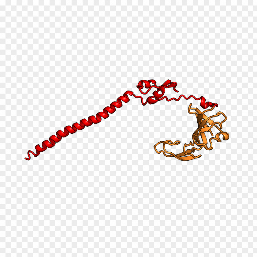 Jewellery Body Line Clip Art PNG