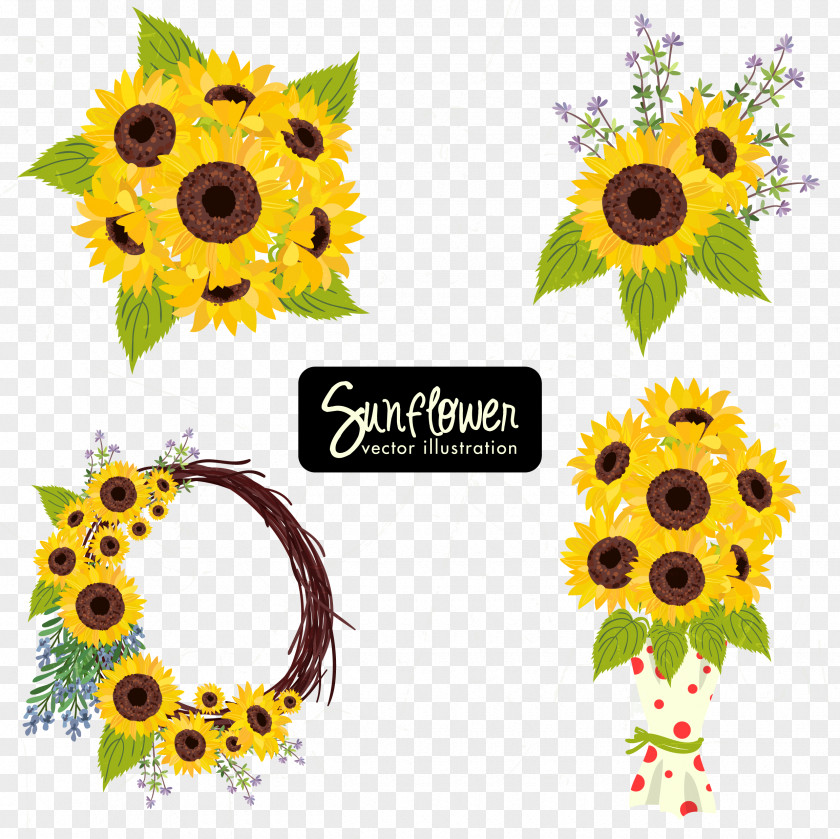 Sunflower Collection Common Seed Icon PNG