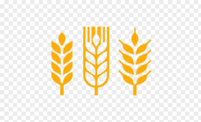 Wheat Vector Graphics Euclidean Illustration Royalty-free PNG