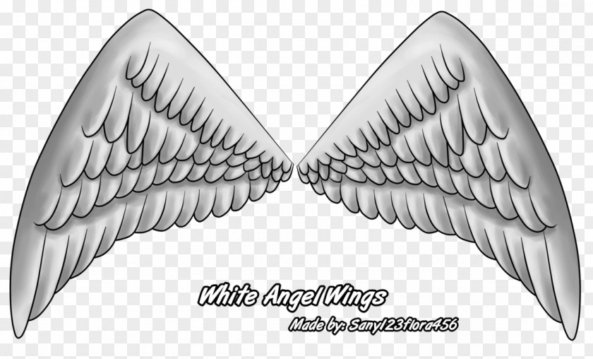 Angel Wings Brush Of Vase .eu Blog PNG