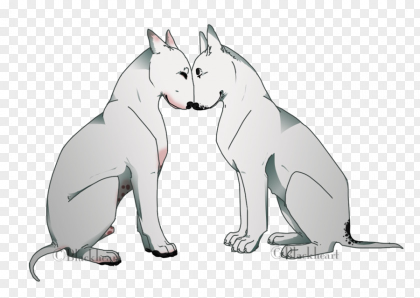 Cat Dog Snout Paw Mammal PNG