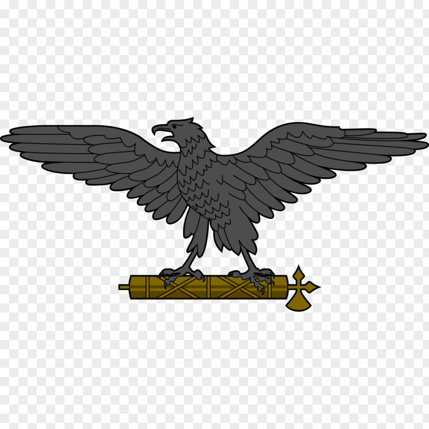 Eagle Flag Of Italy Italian Social Republic Second World War PNG