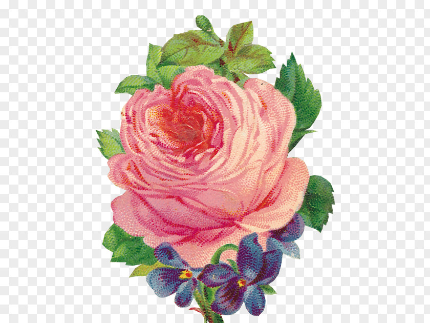 Flower Garden Roses Bokmärke Clip Art PNG