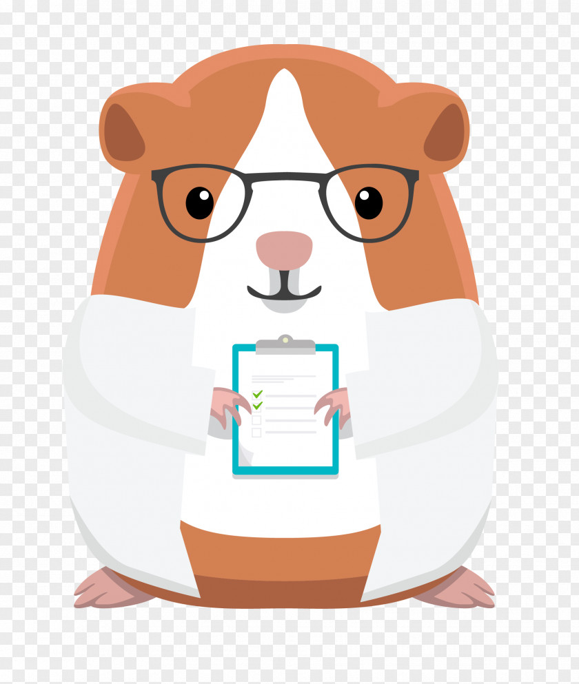 Guinea Pig Cartoon Hamster Product Muroids Food PNG