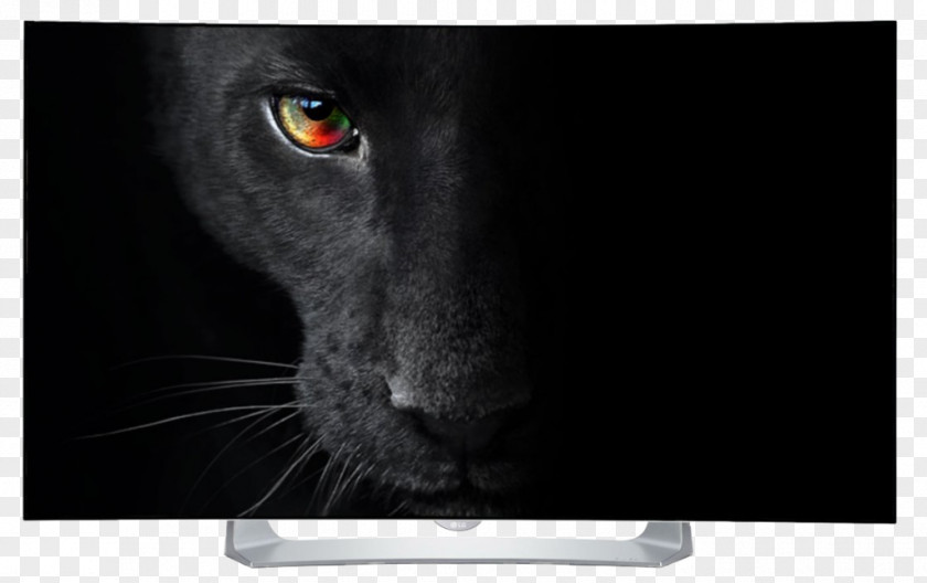 Lg LG B6V OLED OLED-C8 4K Resolution Ultra-high-definition Television PNG