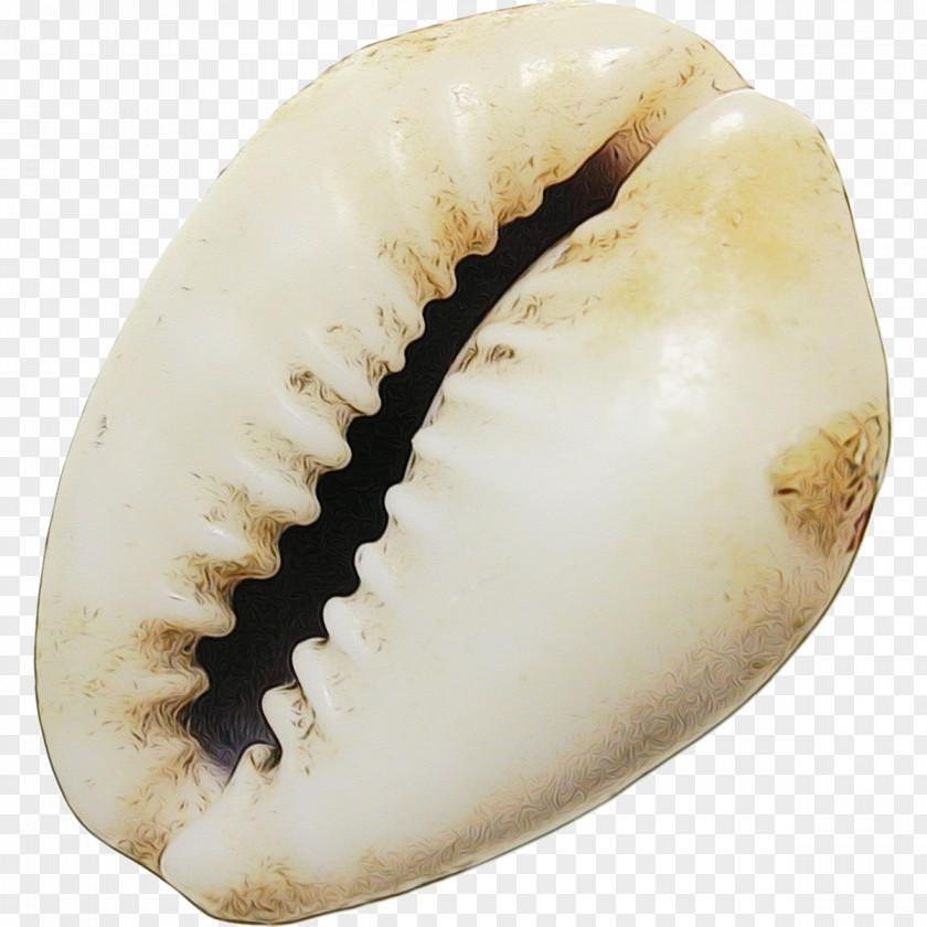 Tooth Mouth Snail Cartoon PNG