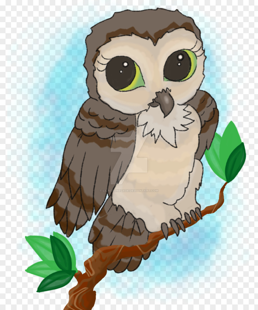 Owl Beak Bird Feather PNG