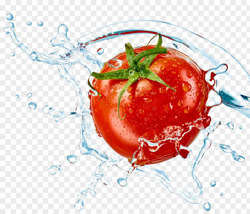 Splashes,tomato Tomato Fort Lauderdale Beach Ozone Air Purifier Vegetable PNG