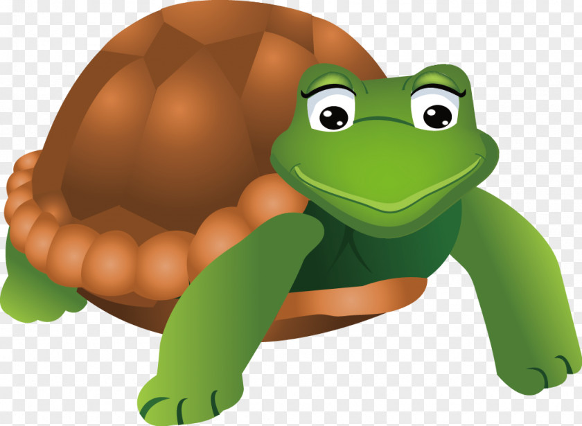 Turtle Free Drawing Image Vector Graphics Animation PNG