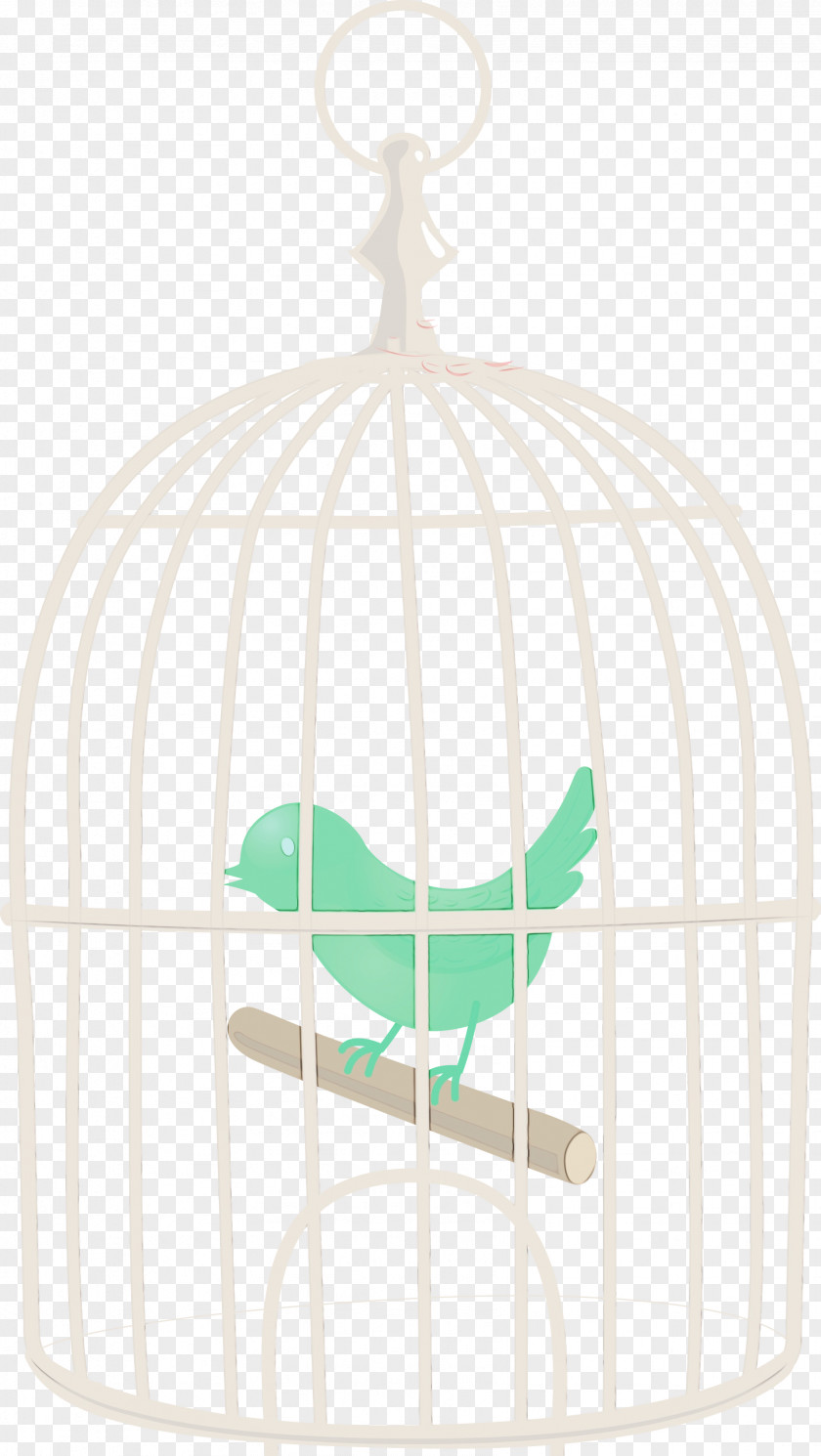 Cage Teal PNG