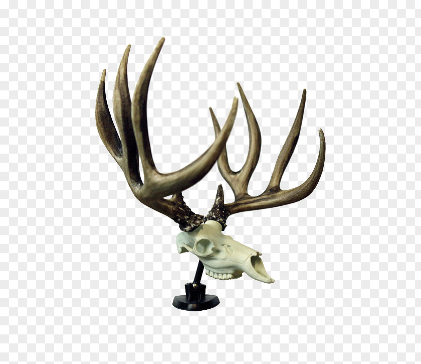 Deer Antler Reindeer Symbol PNG