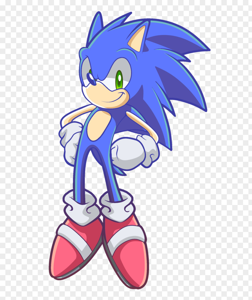 Sonic The Hedgehog Advance Shadow CD PNG