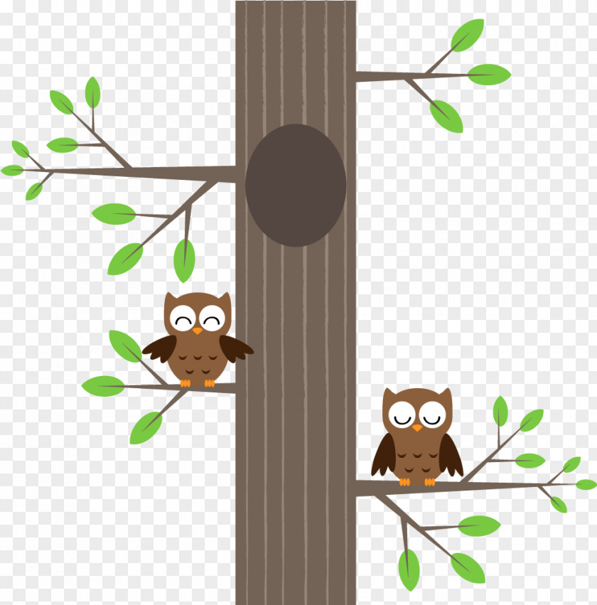 Coruja Owl Tree Hollow Drawing PNG
