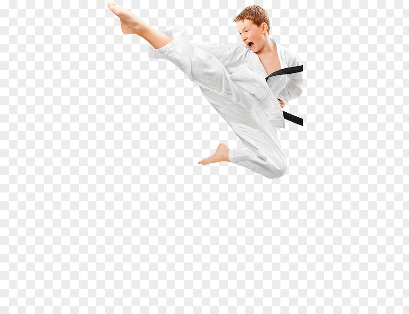 Female Physical Bullying Japan Shotokan Karate Association Martial Arts Taekwondo Self-defense PNG