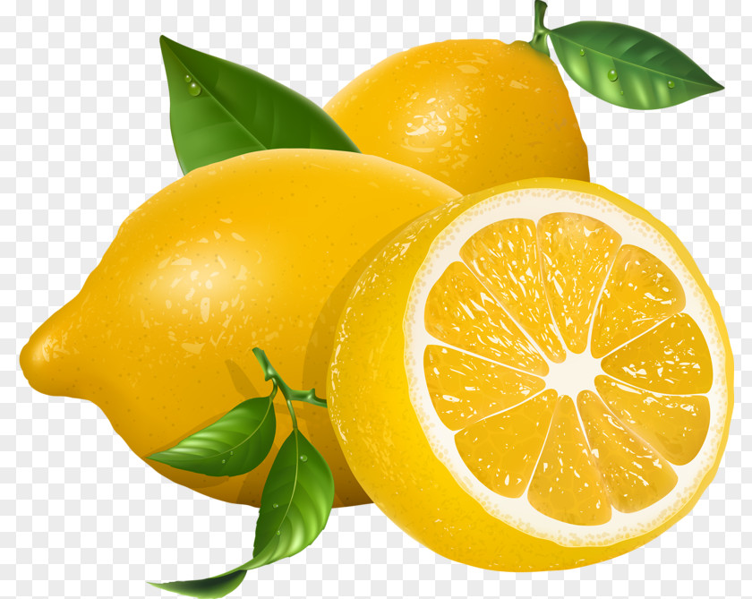 Lemon Lemonade Lemon-lime Drink Clip Art PNG