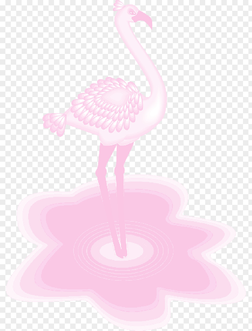 Water Bird Pink M Pattern Beak Neck PNG