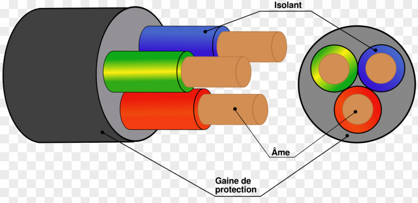 Spina Polyphase System Electricity Electrical Cable Ground Conducteur PNG