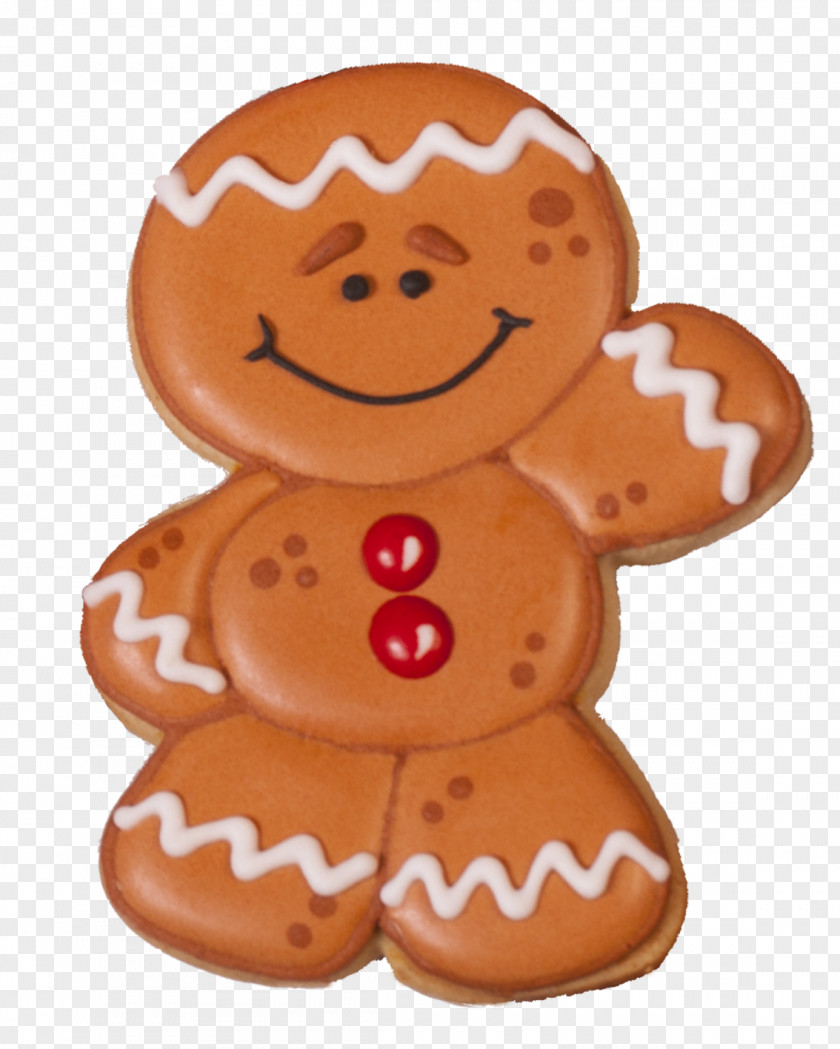 Biscuit Lebkuchen Royal Icing Cookie M STX CA 240 MV NR CAD PNG