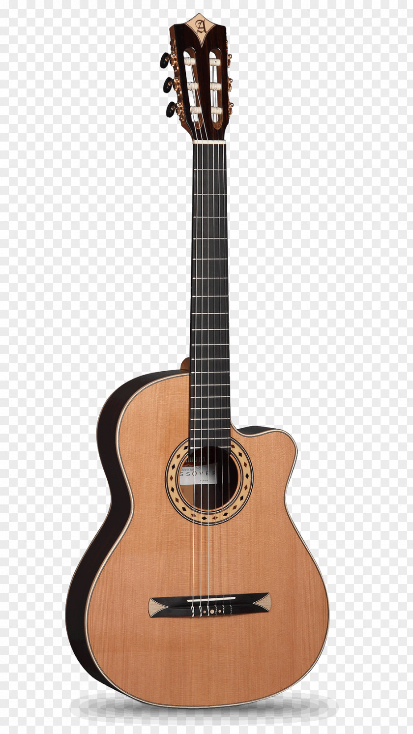 Cedar Alhambra Classical Guitar Acoustic Fingerboard PNG