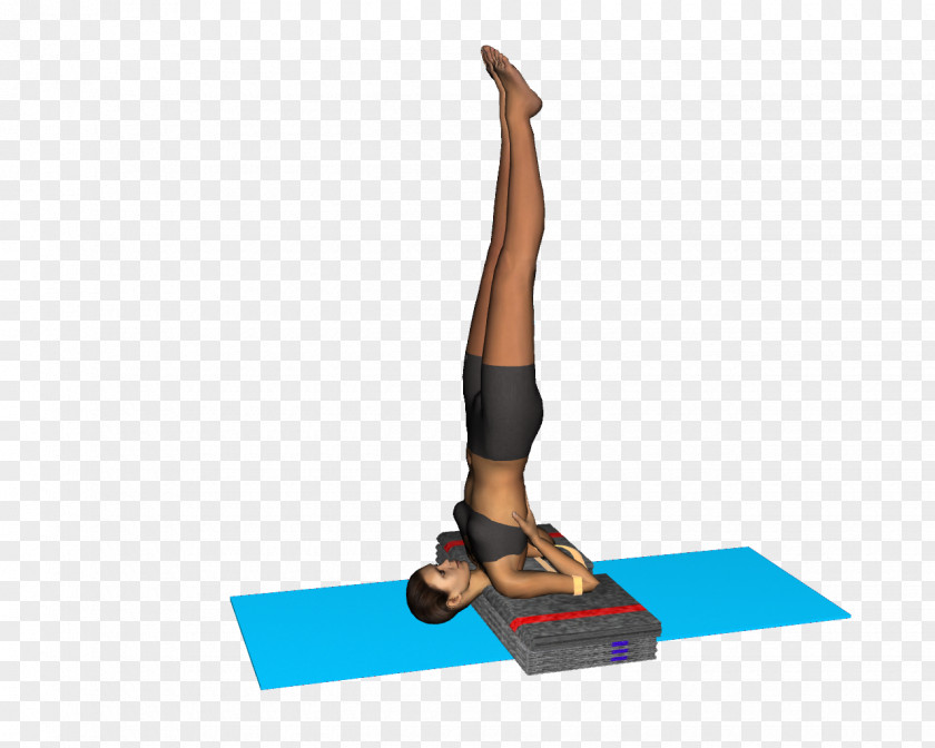 Pilates Stretching Mat Shoulder Hip PNG