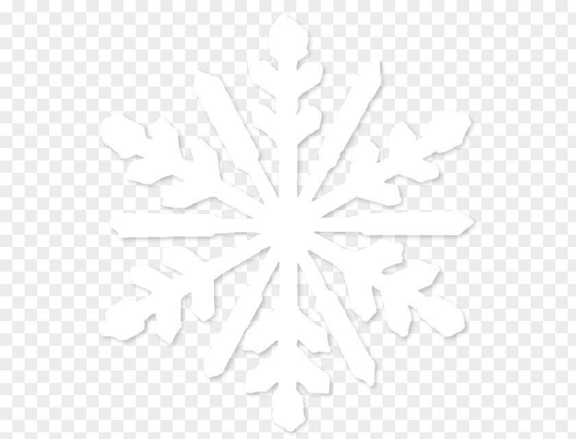 Snowflake Image Symmetry Line Point Black And White Pattern PNG