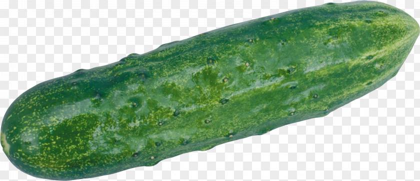 Cucumber Juice Vegetable Clip Art PNG