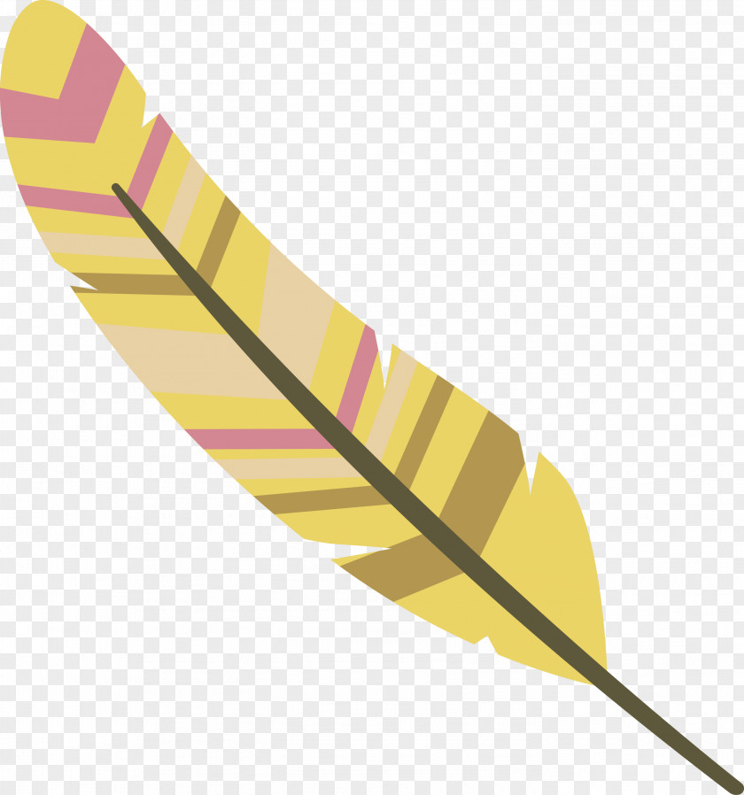 Feather PNG