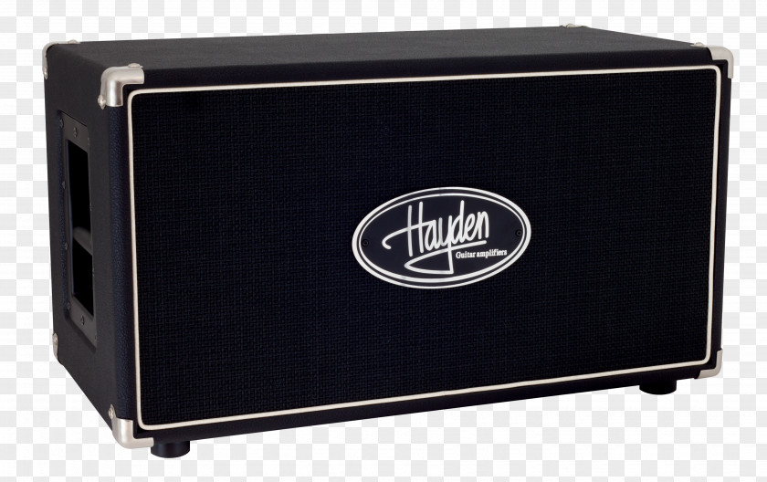Hayden Guitar Speaker Audio Celestion Cabinetry PNG